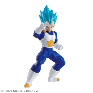 Dragon Ball S Saiyn God Ss Vegeta1